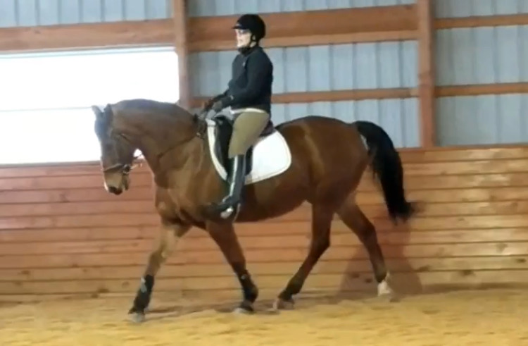 File Feb 10, 9 10 28 PM